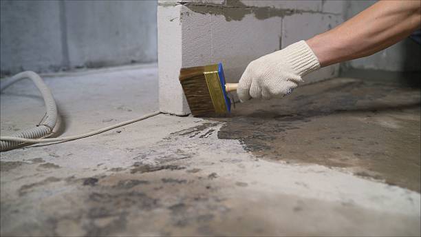 SJ Waterproofing Pros Waterproofing coverage map for Schneider, IN and surrounding area